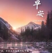 儿童足球比分-儿童足球比分，一场无关胜负的成长赛跑