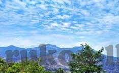 足球比分网怎么-足球比分网怎么选、怎么用？一文带你玩转足球数据世界