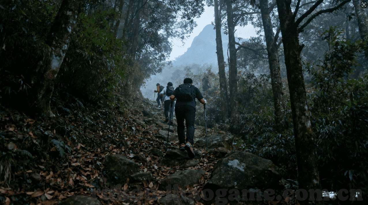 足球世界杯投注介绍-足球世界杯投注，理性参与，享受竞技魅力